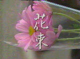 hanat0.jpg (5955 oCg)